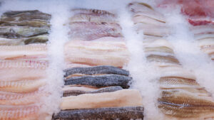 Schleppnetz-Fischerei verursacht womöglich Milliardenschäden