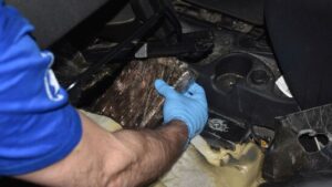 Zollhund Dembé spürt Kokain unter Autositz in Genf auf