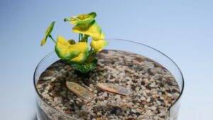 Lausanner Forschungsteam entwickelt Wasser-Roboter aus Fischfutter