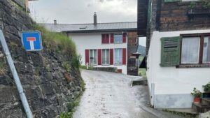 Frau stirbt nach Unfall mit Viehherde im Graubünden