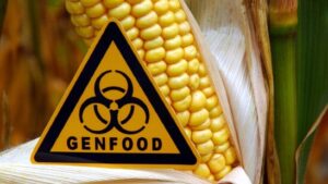 Parlament will Gentechnik-Moratorium um fünf Jahre verlängern