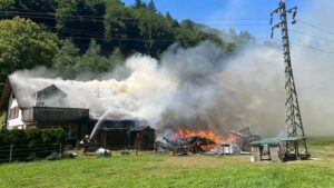 Über hundert Kaninchen und Vögel sterben bei Brand in Hindelbank BE