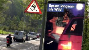 Risiko für Kollision mit Wildtier ist in Freiburg besonders gross