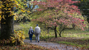 Körperliche Aktivität kann Alzheimer-Ausprägung verlangsamen