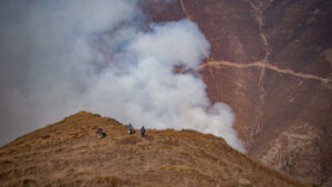 Hyrkanische Wälder im Iran: Brände wüten in Unesco-Welterbe