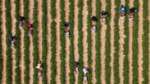 EuGH kippt zentrale EU-Mindestlohnvorgaben