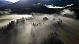 Römische Expansion hinterliess Spuren im Wald