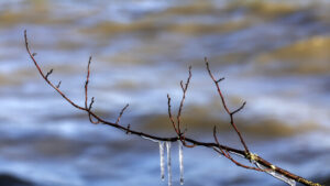 Minustemperaturen auch im Flachland