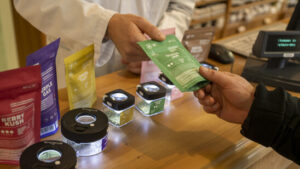 Umstrittenes Cannabisgesetz: Vorreiterrolle oder Vorpreschen