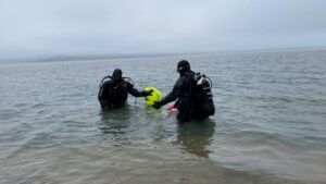 Dutzende Taucher befreien rechtes Thunerseeufer von Abfall
