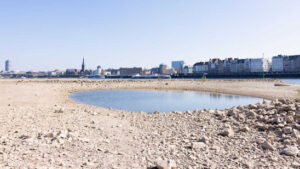 EU setzt sich neues Ziel für den Klimaschutz