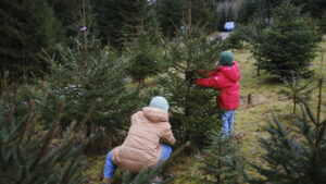 Chancen auf weisse Weihnachten stehen schlecht