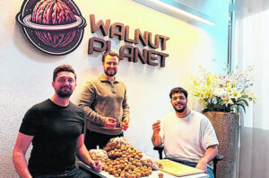 Vom Baum zur Investition in Walnüsse