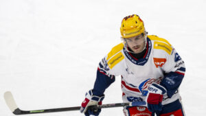 Aberg bleibt bei den ZSC Lions, Andreoff geht