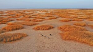 Iran treibt Wolkenimpfen gegen Dürre voran
