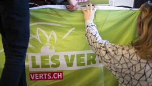 Grüne fassen Ja-Parole zur Individualbesteuerung