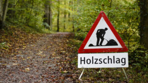 Im letzten Jahr sind vier Personen bei Forstarbeiten gestorben