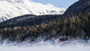Totaler Triumph für den Stall Allegra